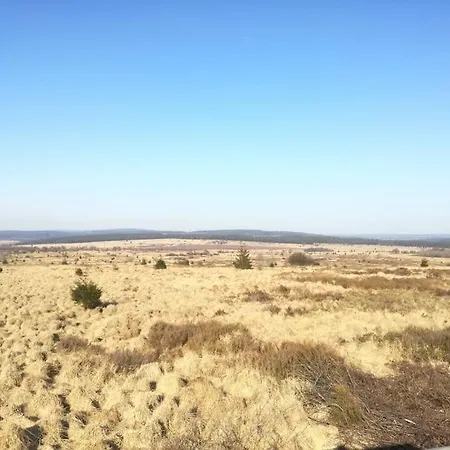 Au Coin Des Fagnes