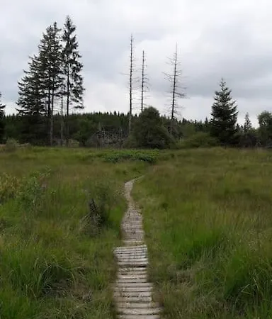 Au Coin Des Fagnes Sourbrodt